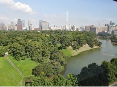 090827tfm2.jpg